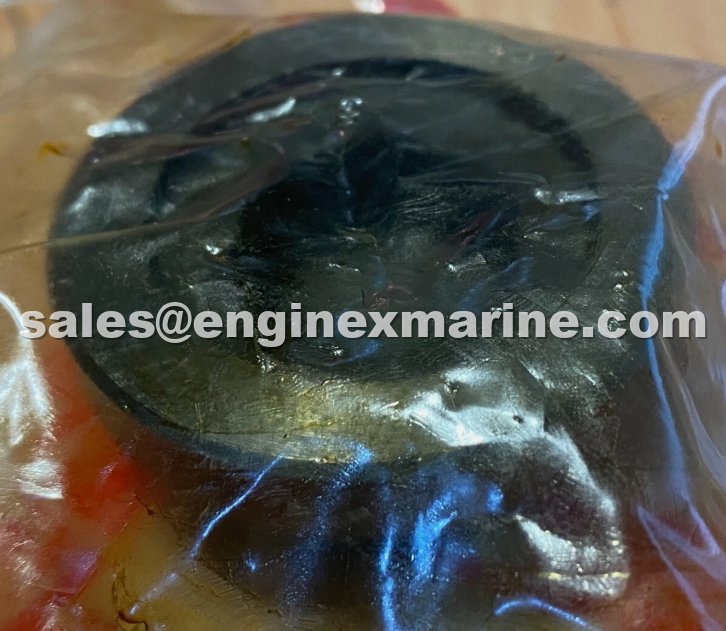 YANMAR - N21 - BLIND COVER - 139653-11641