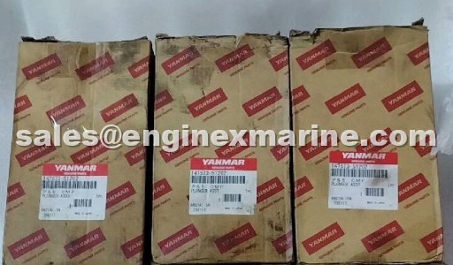 YANMAR - N21 - PLUNGER ASSY - 147673-51201