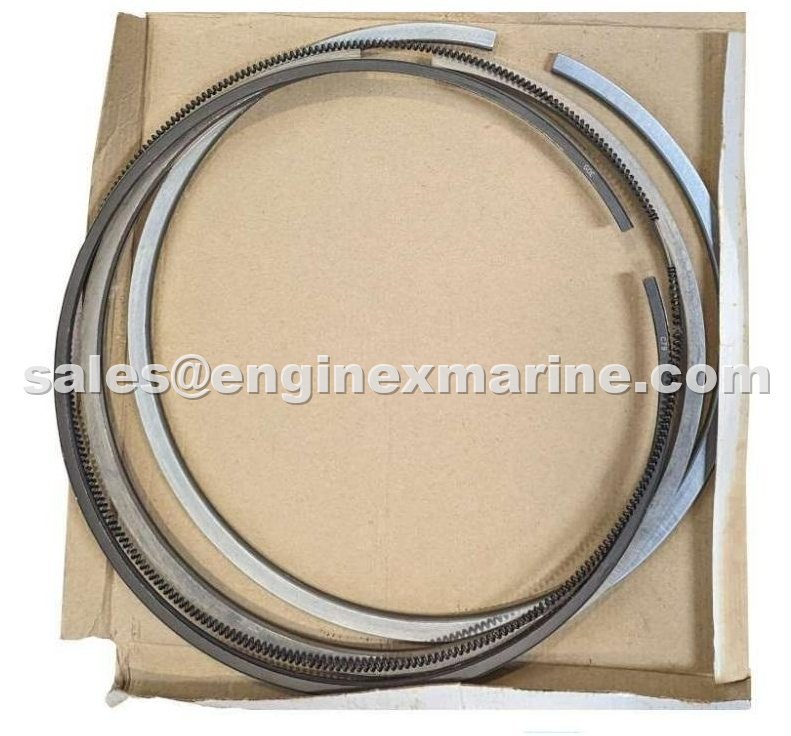 WARTSILA – 46 – ANTI POLISHING RING – 100101