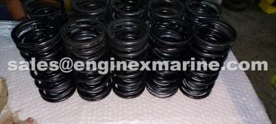 WARTSILA – W46 – VALVE SPRING