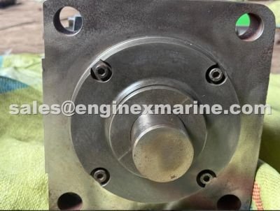 WARTSILA – 46 – FUEL PUMP - PLUNGER
