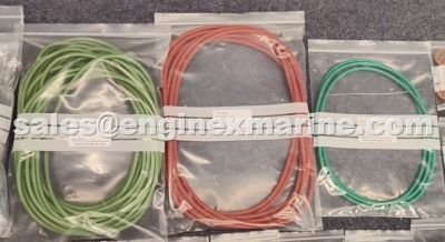 WARTSILA – 46 – SECURING RING – 113010
